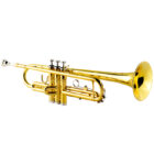 YWTR-01-1x1-dorado2