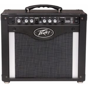 Amplificador Para Guitarra 25 W  Negro Peavey RAGE258